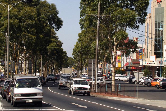 Cars on the street