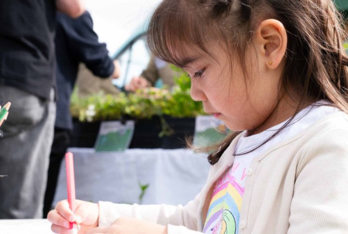 Integrated Children, Youth and Family Strategy 2027–31