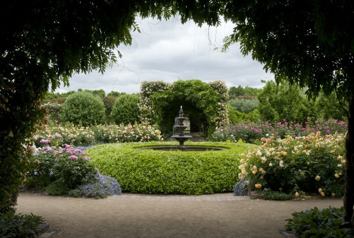 Fountain and plants in a garden
