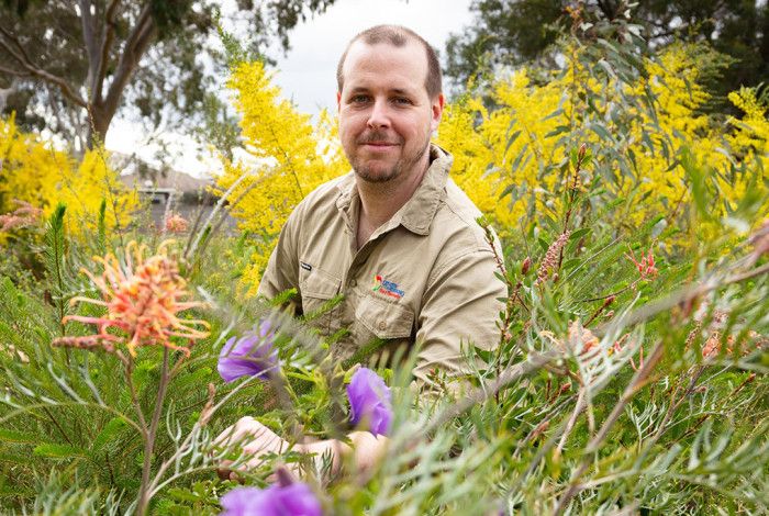 A man looking at some Australian flowers