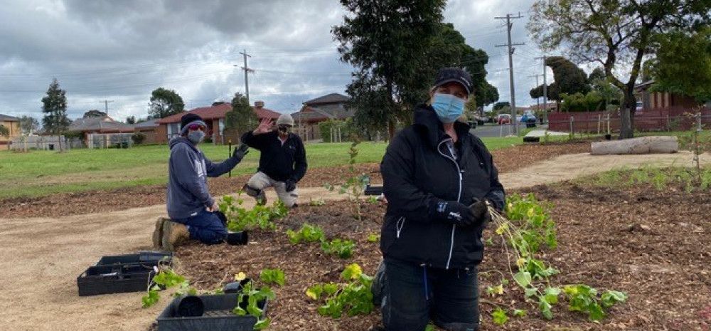 Staff planting trees