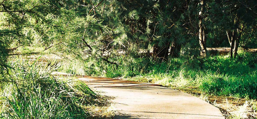Sundrenched pathway at Alex Wilkie Nature Reserve