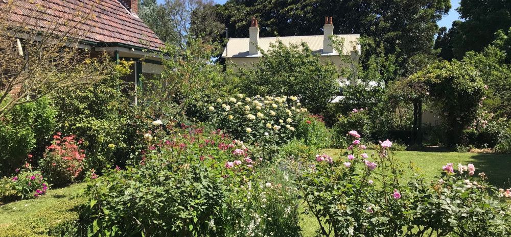 Rose garden at Heritage Hill