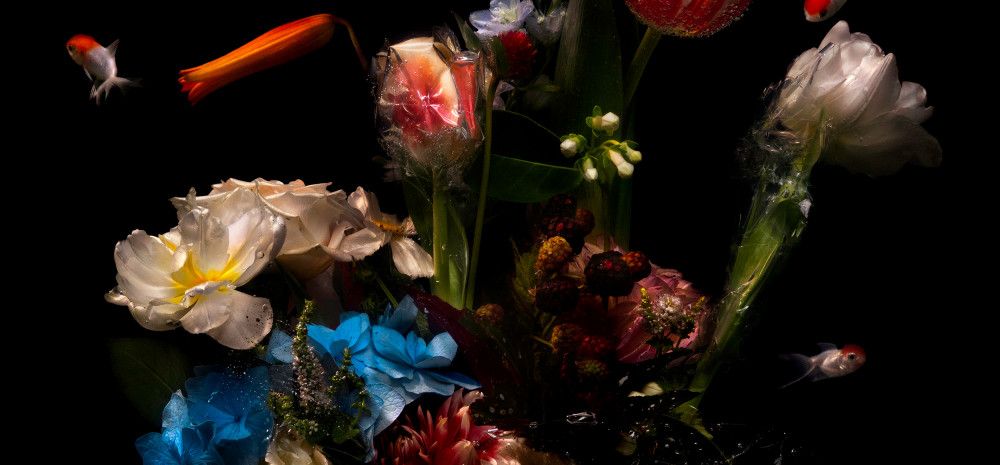 artwork by Lilli Waters, of goldfish swimming through florals on black background.