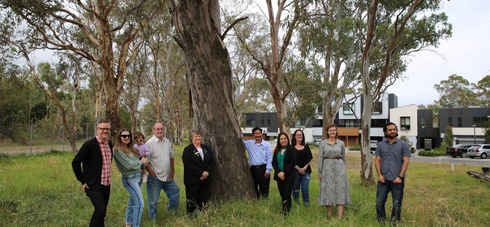 Residents and councillors with river red gums