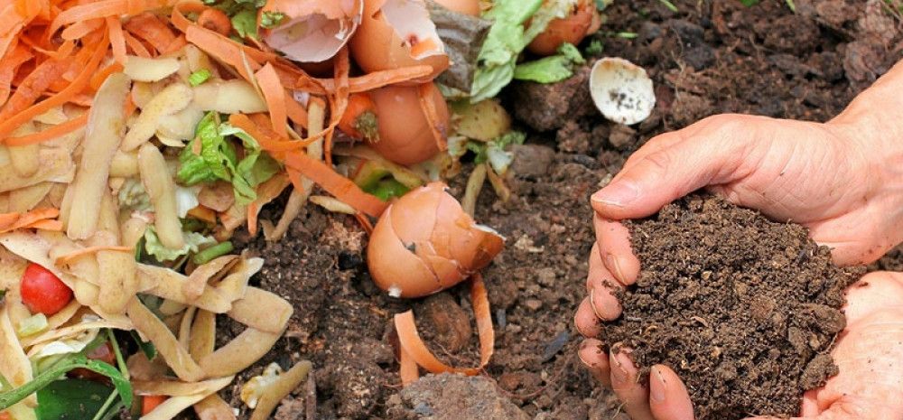 food scraps and hand holding soil