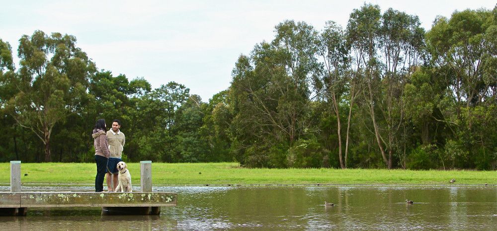 Park with people and dog