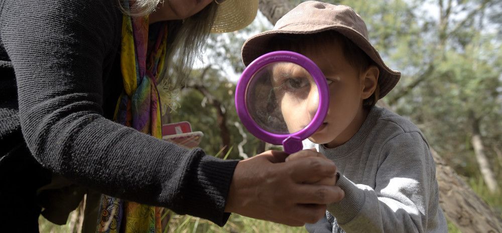 Child discovering nature through a magnifying glass.