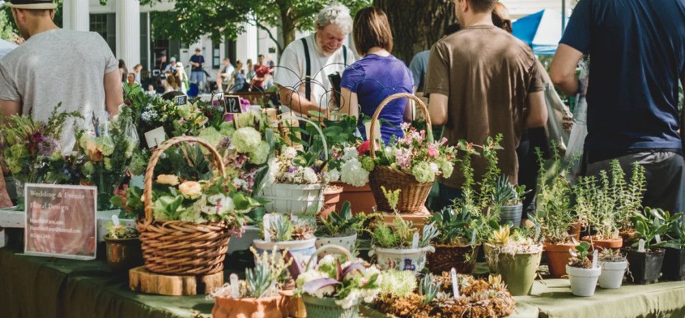 38 Free Christmas Events In Melbourne For A Festive Day with Family 12 IMG 1712