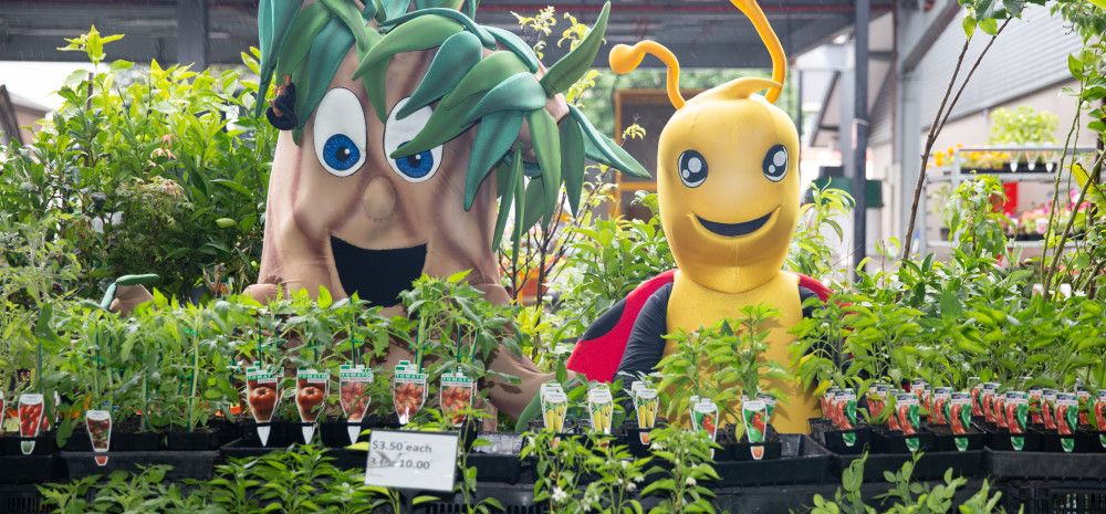 Harry Habitat and Lily Litter at the Dandenong Market