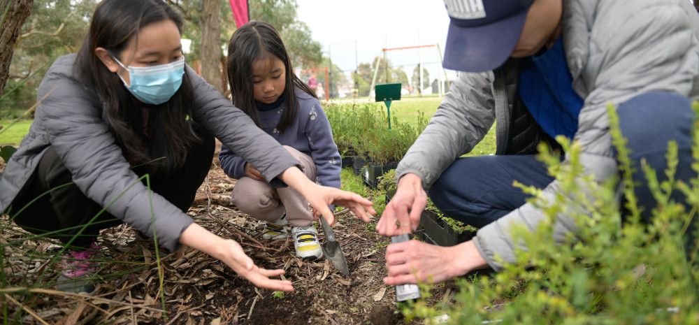 a family planting
