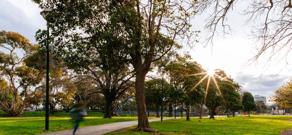 Trees in a Greater Dandenong Park