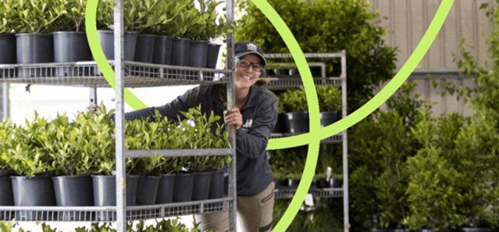 Lady moving plants on a trolley