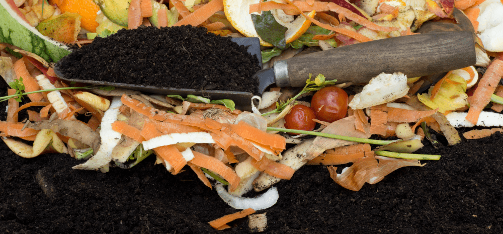 compost scraps and a trowel.