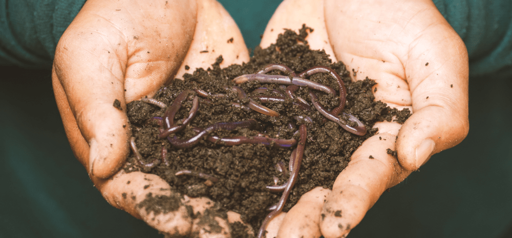 composting