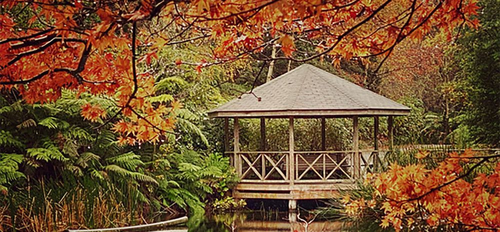 Dandenong Ranges Botanical Garden
