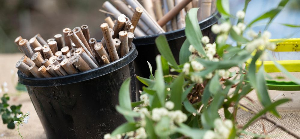 Gardening plants