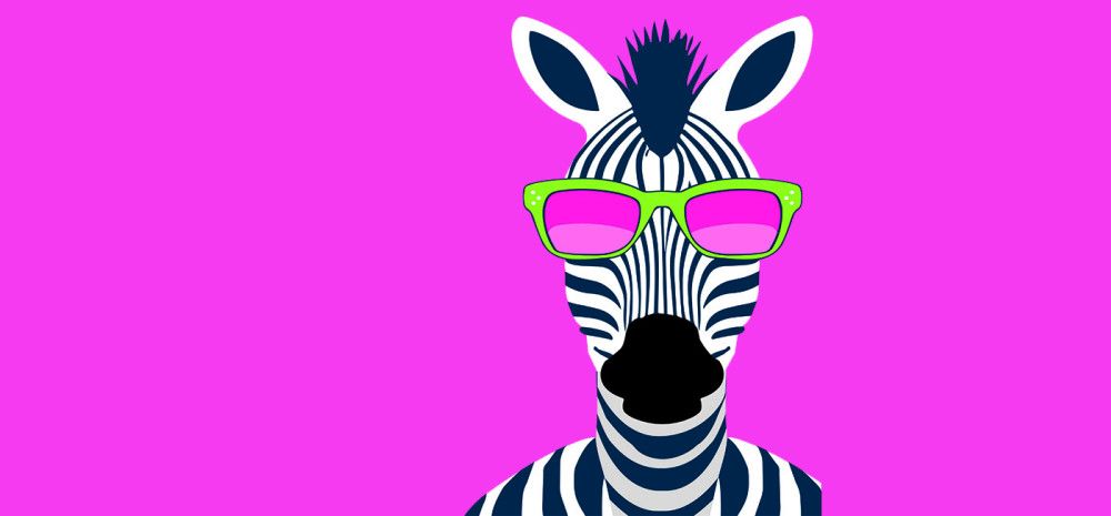 A zebra with pink background