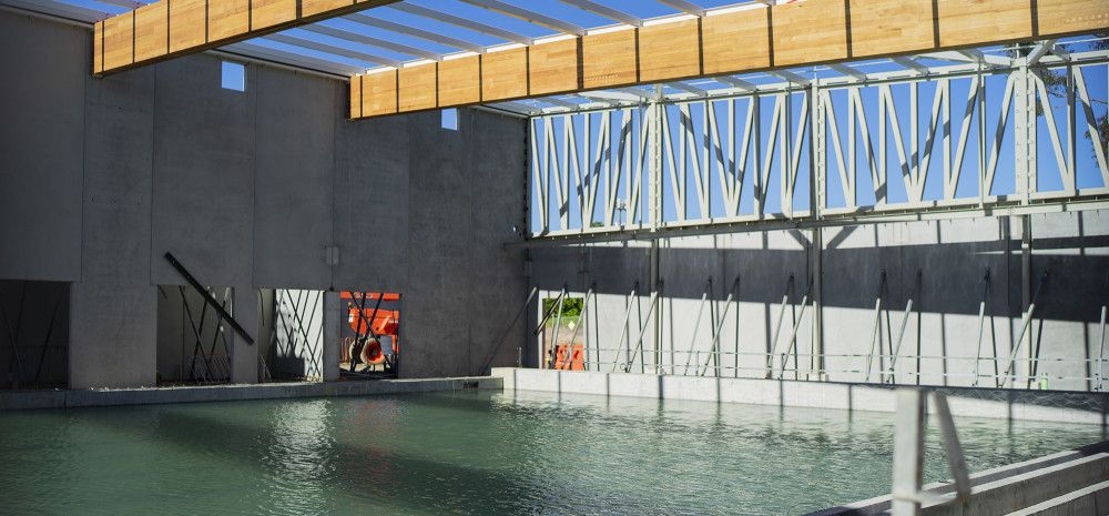 Oasis pool