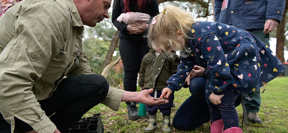 Children planting seedlings in the garden