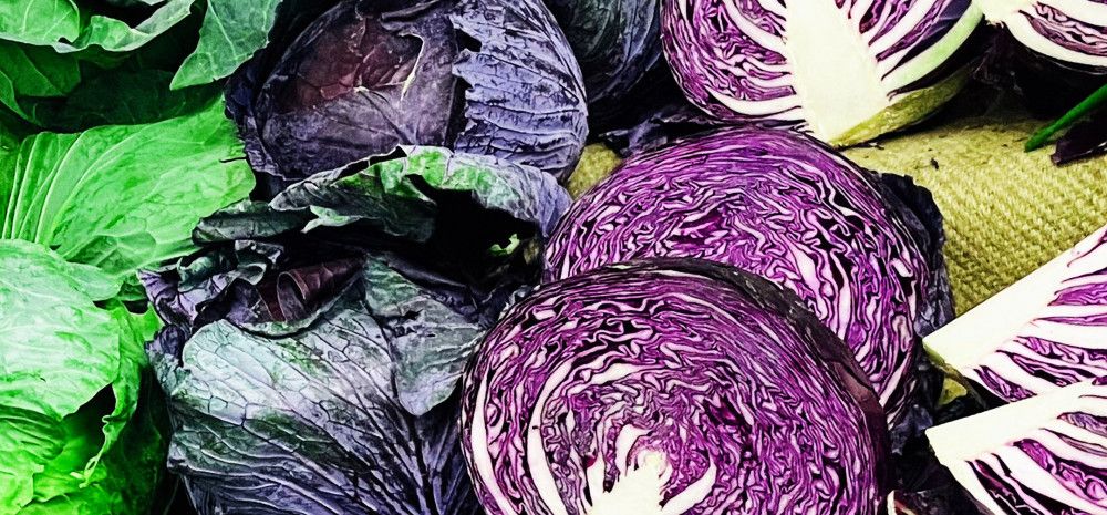 Cabbages 