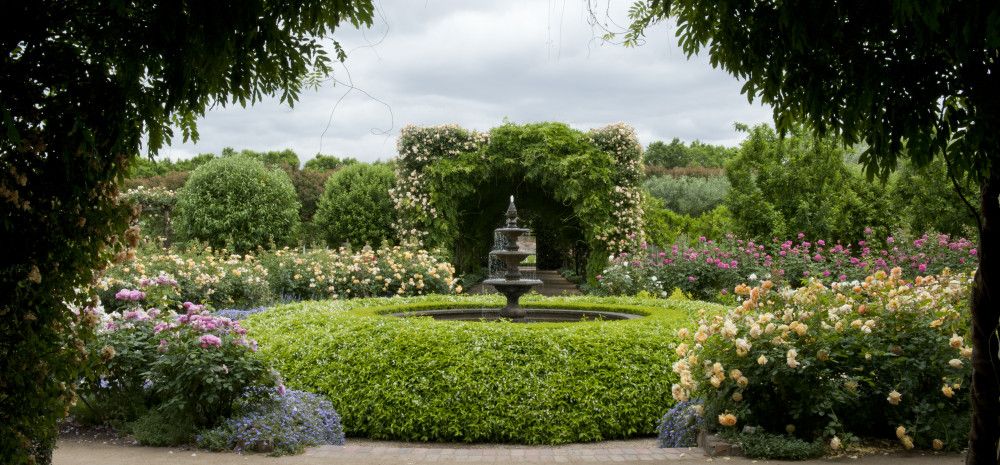 Fountain and plants in a garden