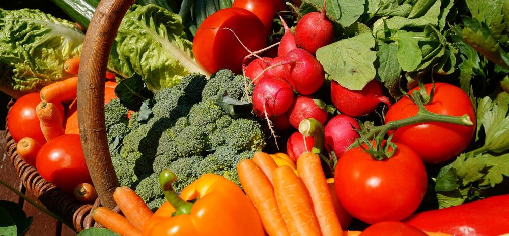A basket of vegetables