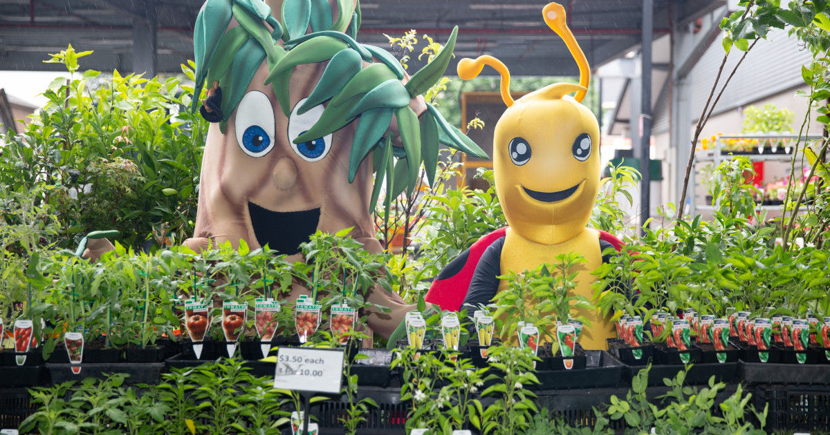 Sustainability Festival (Council News article February 2023) Greater