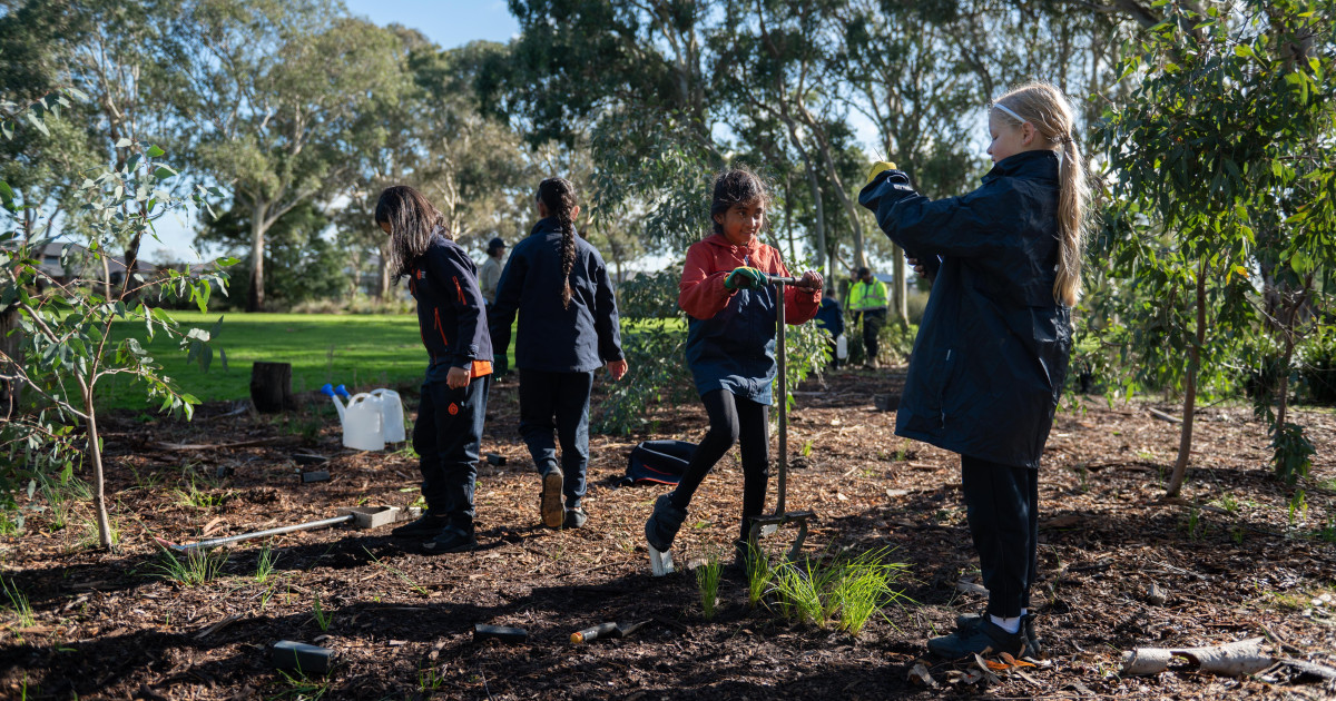 One Tree Per Child Launched at Somerfield Reserve Greater Dandenong