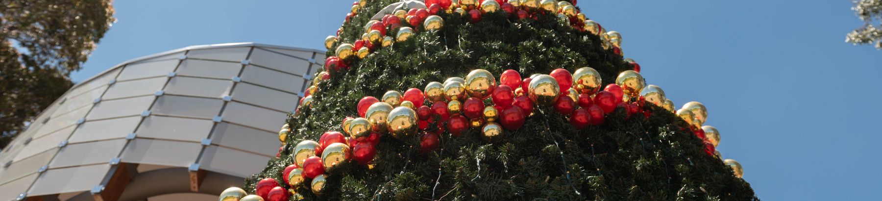 Christmas tree