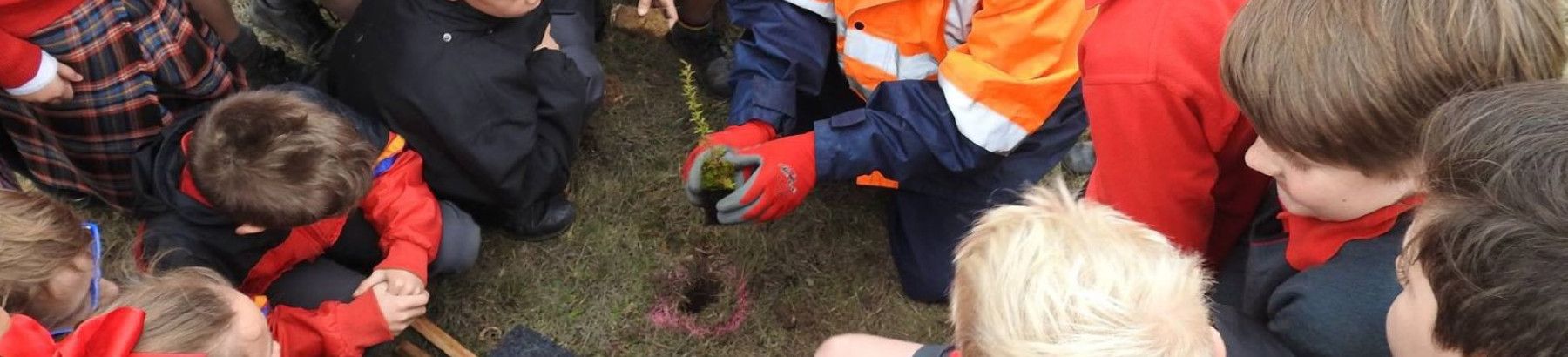 a crowd of school students watching a person planting
