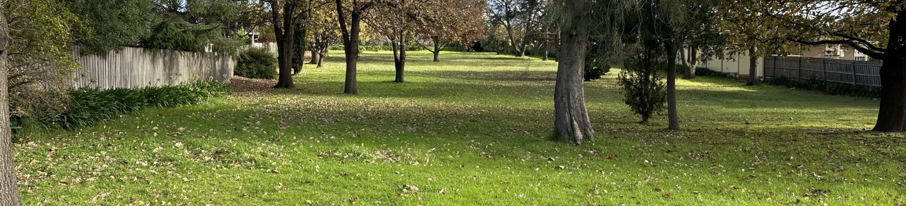 Clow Street Reserve