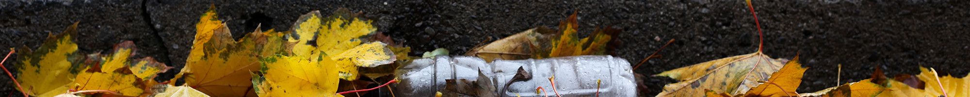 Plastic bottle in gutter with leaves