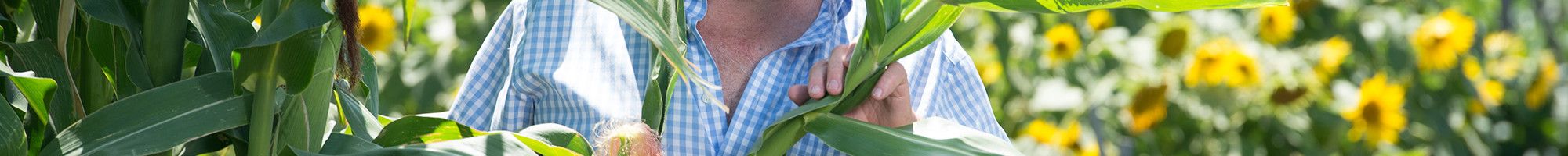 Man in community garden