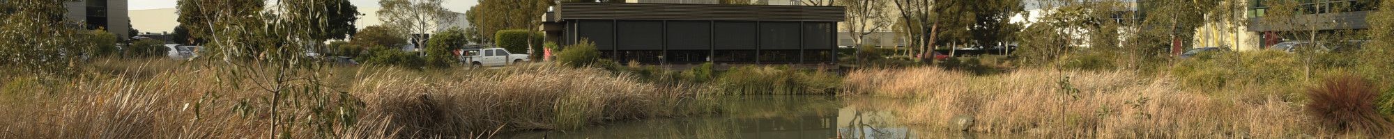 Dandenong South Estate wetland