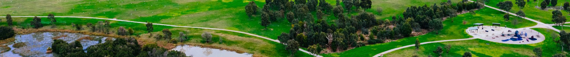 Aerial Park shot