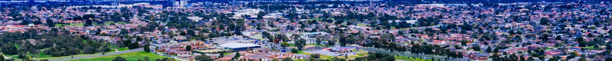 Aerial Park shot