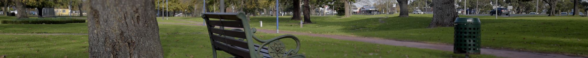 Dandenong Park
