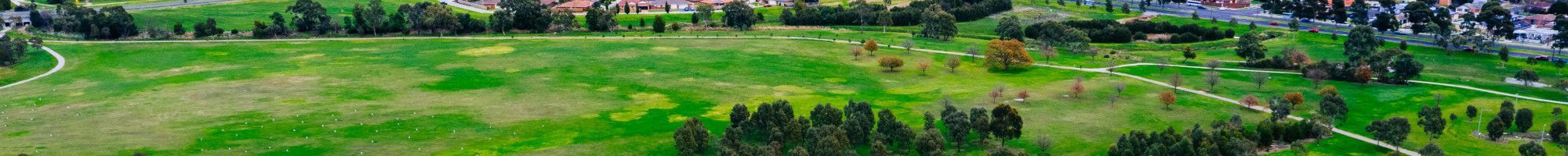 Park aerial shot