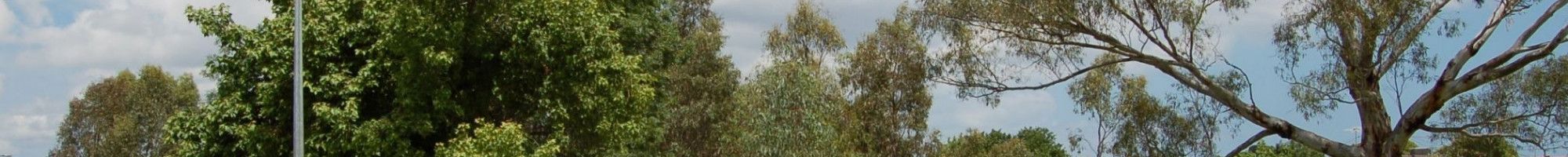 Wachter Reserve