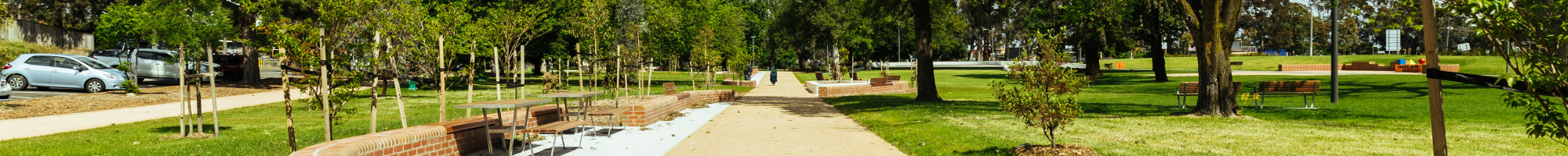 pathway in a park