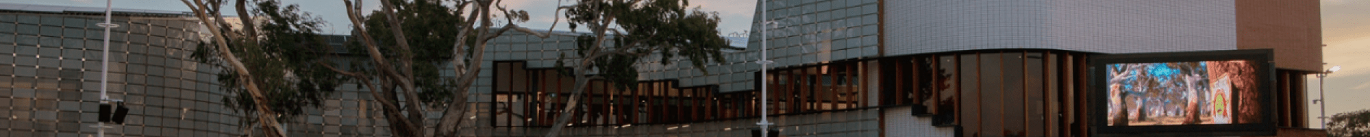 people watching a movie at springvale community hub on the grass area