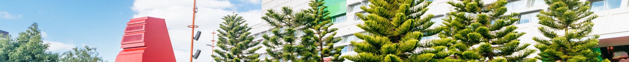 image of trees and building in harmony square