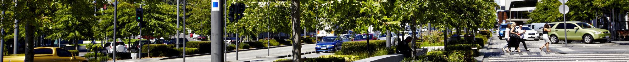 Lonsdale Street trees