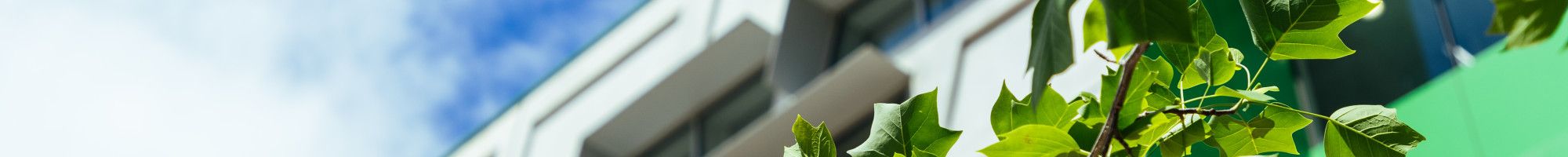 Dandenong civic centre and leaves