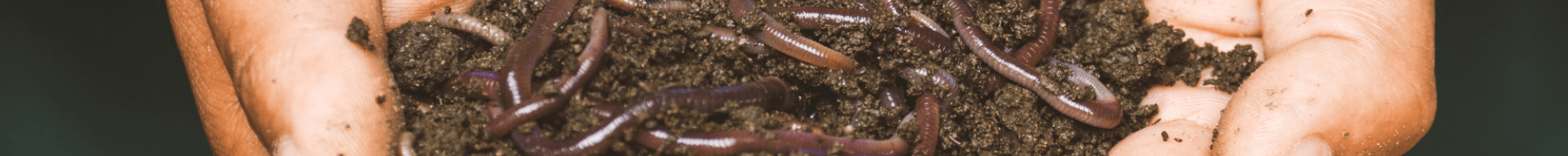 Composting