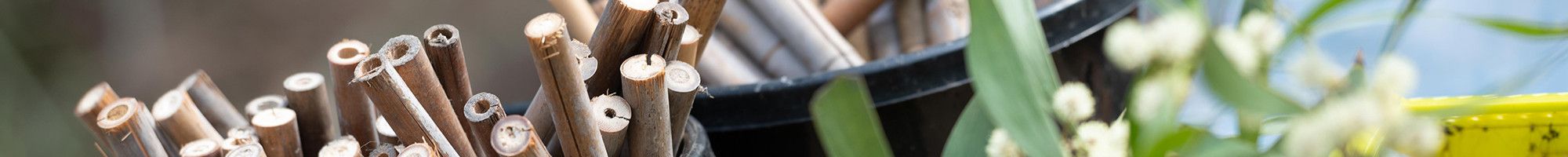 Gardening plants