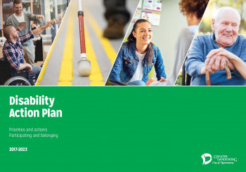 Disability Action Plan