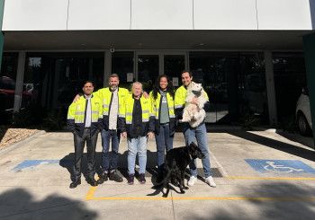 Lyka team members and dogs.