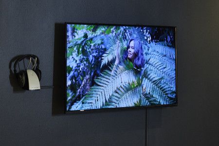 A television screen showing a woman in a bush